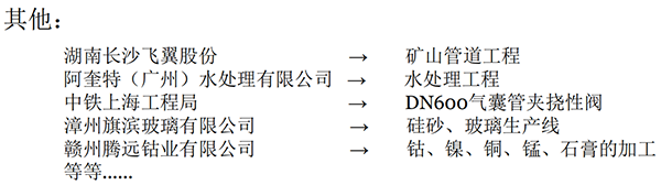 立式襯膠止回閥業(yè)績(jì)