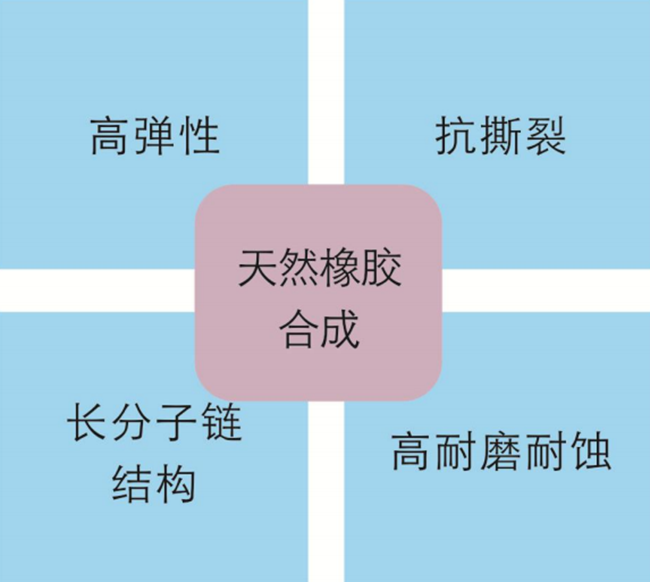 進(jìn)口結構的膠管閥膠管特點(diǎn)